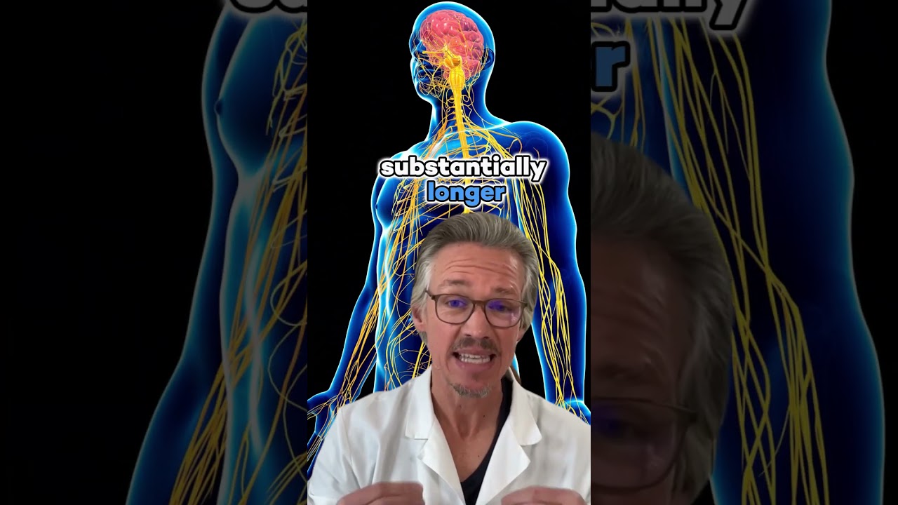 ФИНАСТЕРИД ПРОТИВ ДУТАСТЕРИДА: КАКОЙ ПРЕПАРАТ ЛУЧШЕ ОТ ВЫПАДЕНИЯ ВОЛОС? (2024)