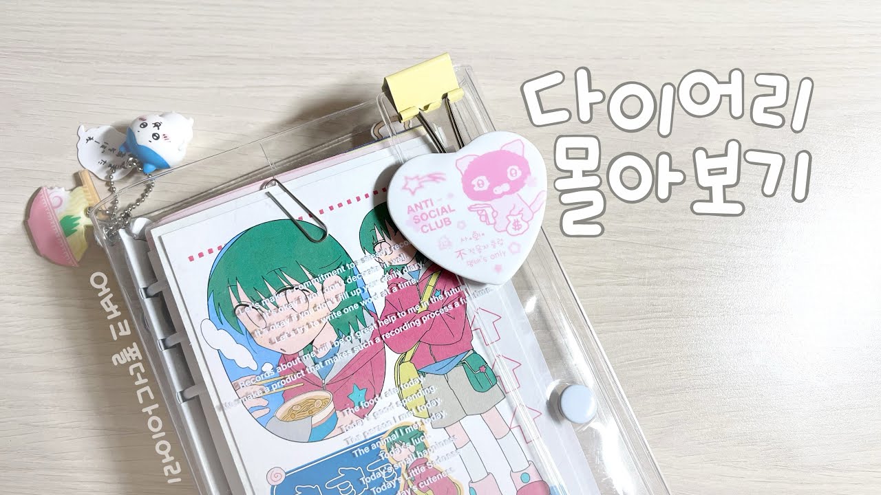 육공다이어리 몰아보기 •*∙͌♡ | 어버블크러쉬 폴더다이어리 화이트 ! | 두달동안 사용한 다이어리 같이 구경해요 🗯️