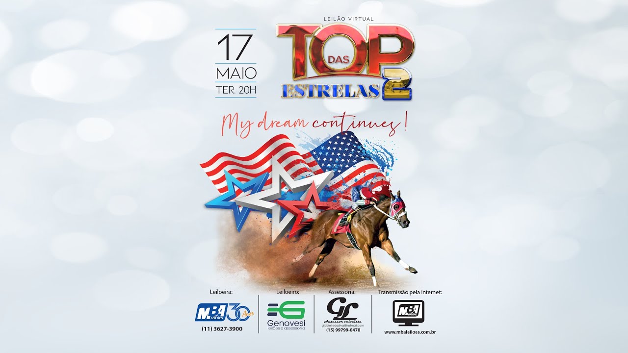 Leilão Virtual Top das Estrelas 2