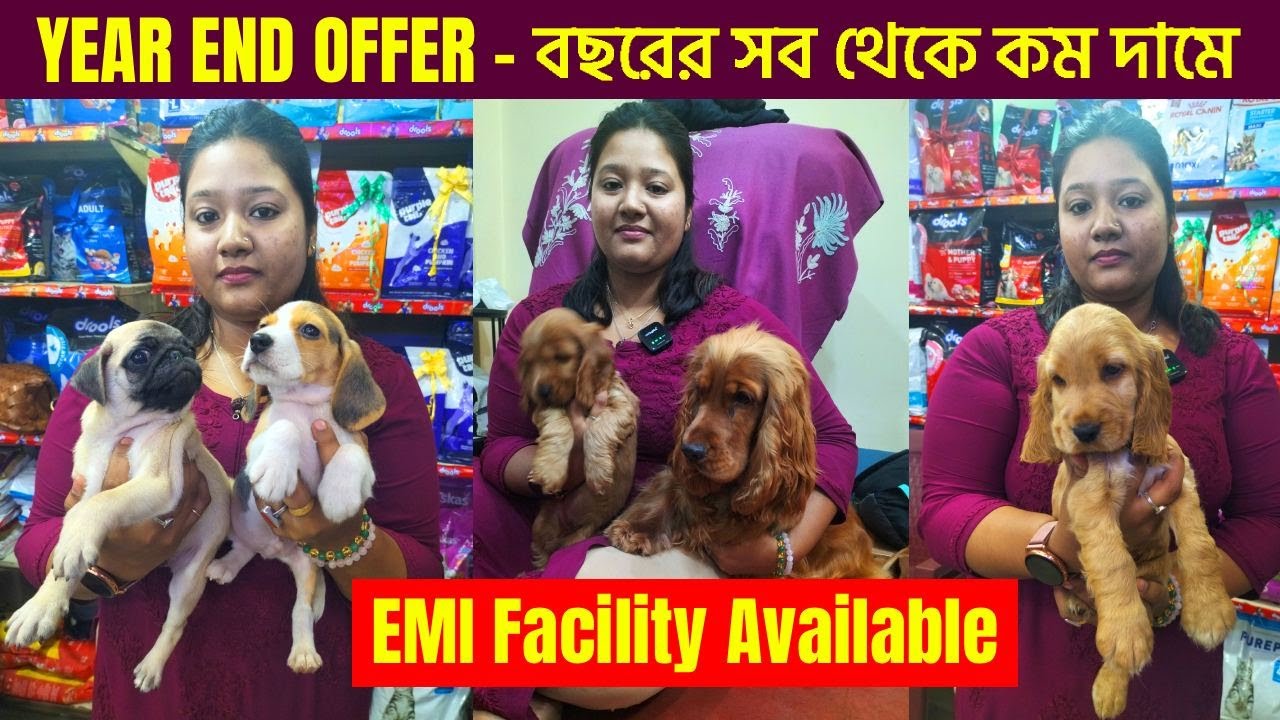 Best Dog shop in Kolkata | kolkata pet market | dog market in kolkata | Pet Shop