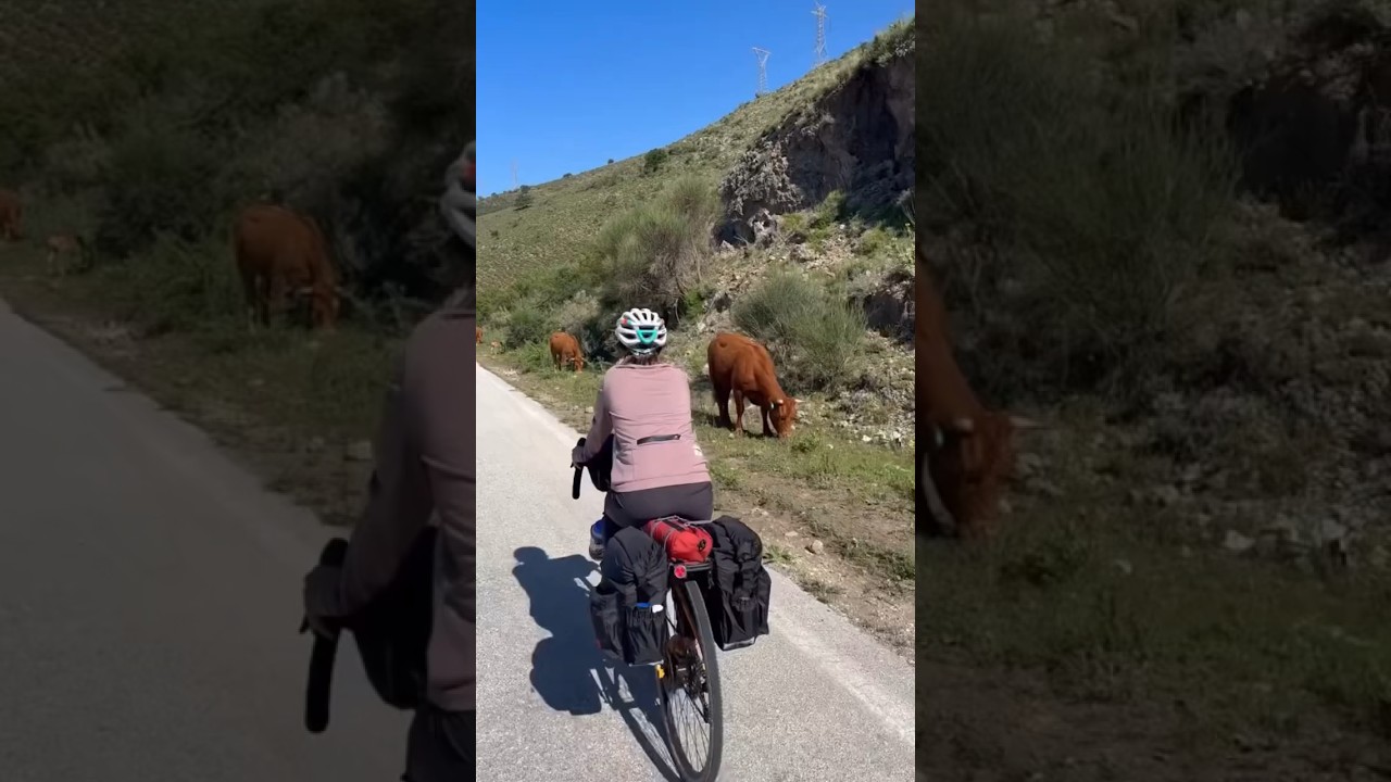 Cycle touring Albania -Part 2 #biketour #travel #bike #cycletour #albania
