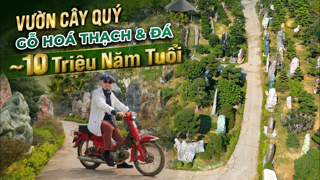 DU XUÂN tại Vườn CÂY, GỖ HÓA THẠCH & ĐÁ hơn 4ha ĐỘC NHẤT VÔ NHỊ Của PCT FPT Bùi Quang Ngọc | NHATO