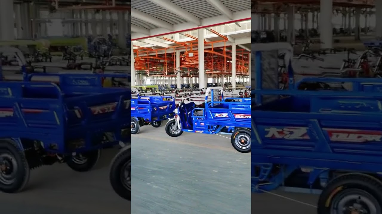 China loader rickshaw factory