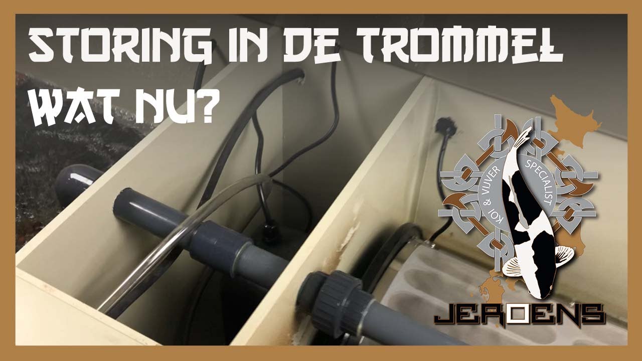 #Lovekoidealerlive Storing in de trommel, wat nu? 541
