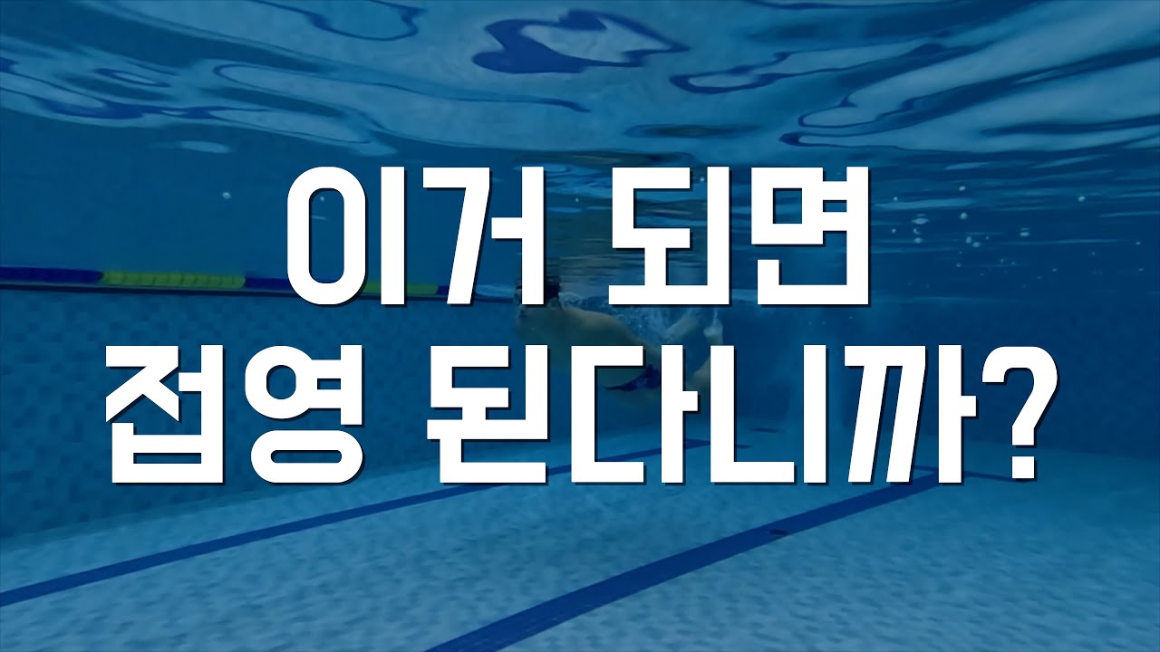 접영의 기본! 이거 될때까지 해보세요 그럼 접영이 편해집니다!!