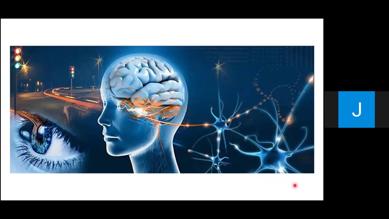 Fisiologia de la retina Dr Escobedo Dra Chavez