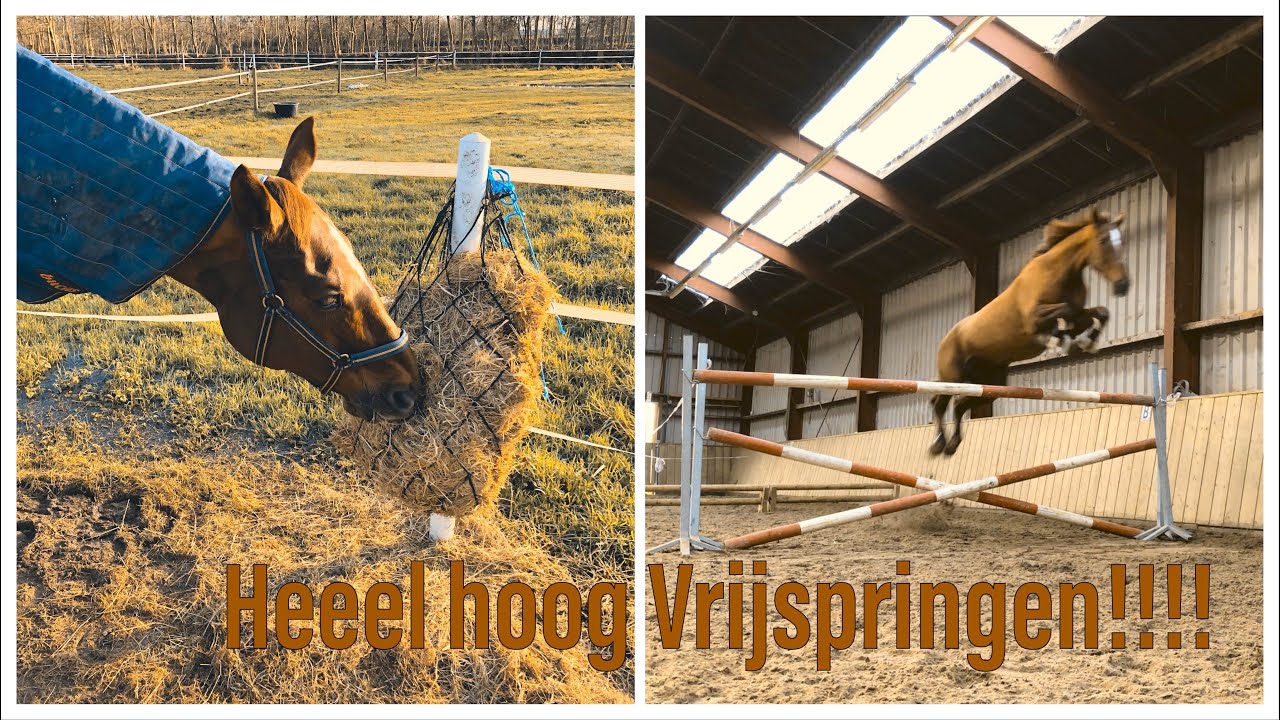 Vrijspringen met waroda, wat is haar record??