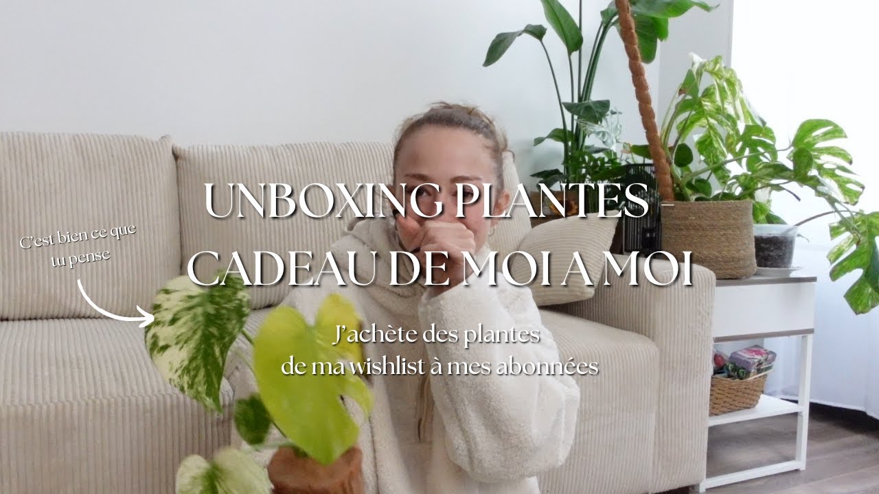 UNBOXING PLANTES - J'achète des plantes de ma wishlist à mes abonnées 🪴+ installation mini vitrine