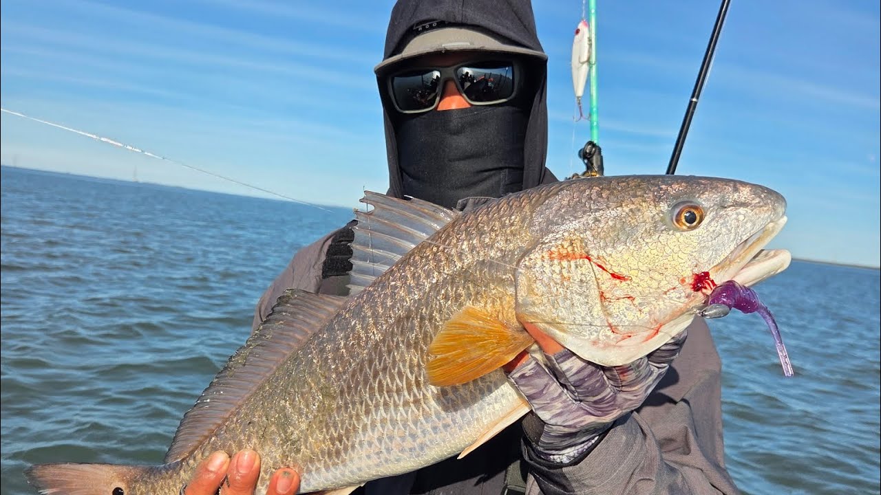 WADING THE FLATS 🎣#waterloo #fishing #redfish #kayakfishing  