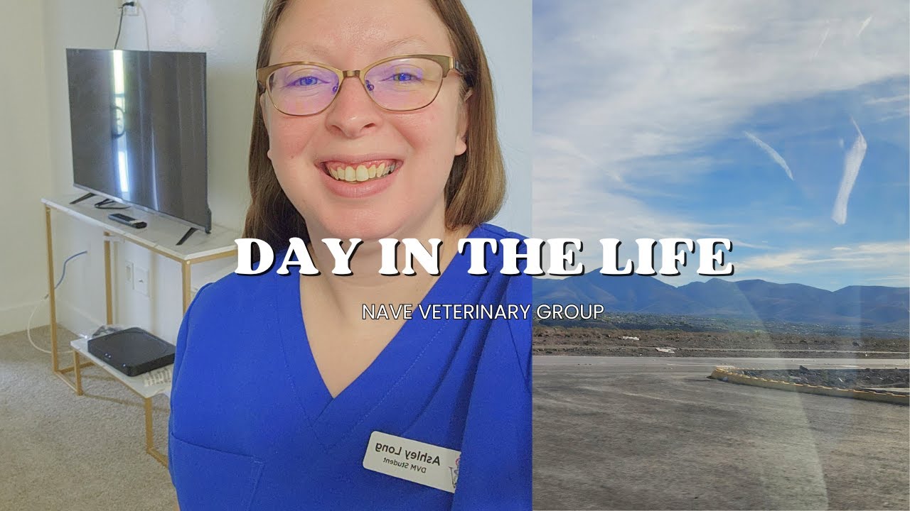Day in the Life of a Veterinary Student Extern at NAVE Veterinary Group
