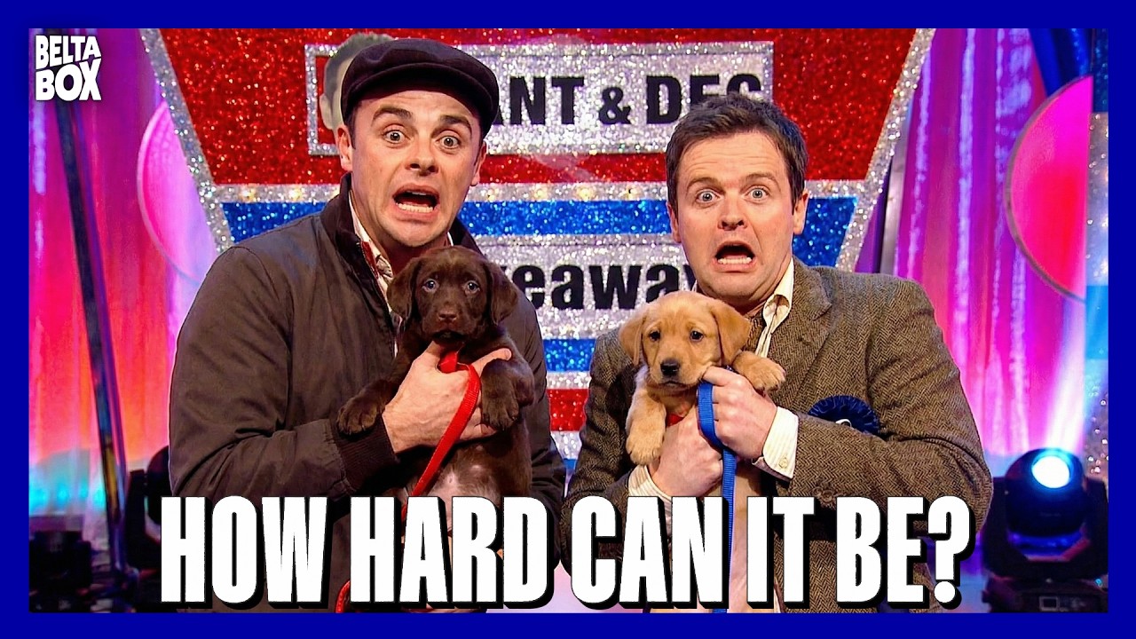 Total Puppy Meltdown! Who Survives the Challenge? | Ant vs Dec Season 5 Episode 3