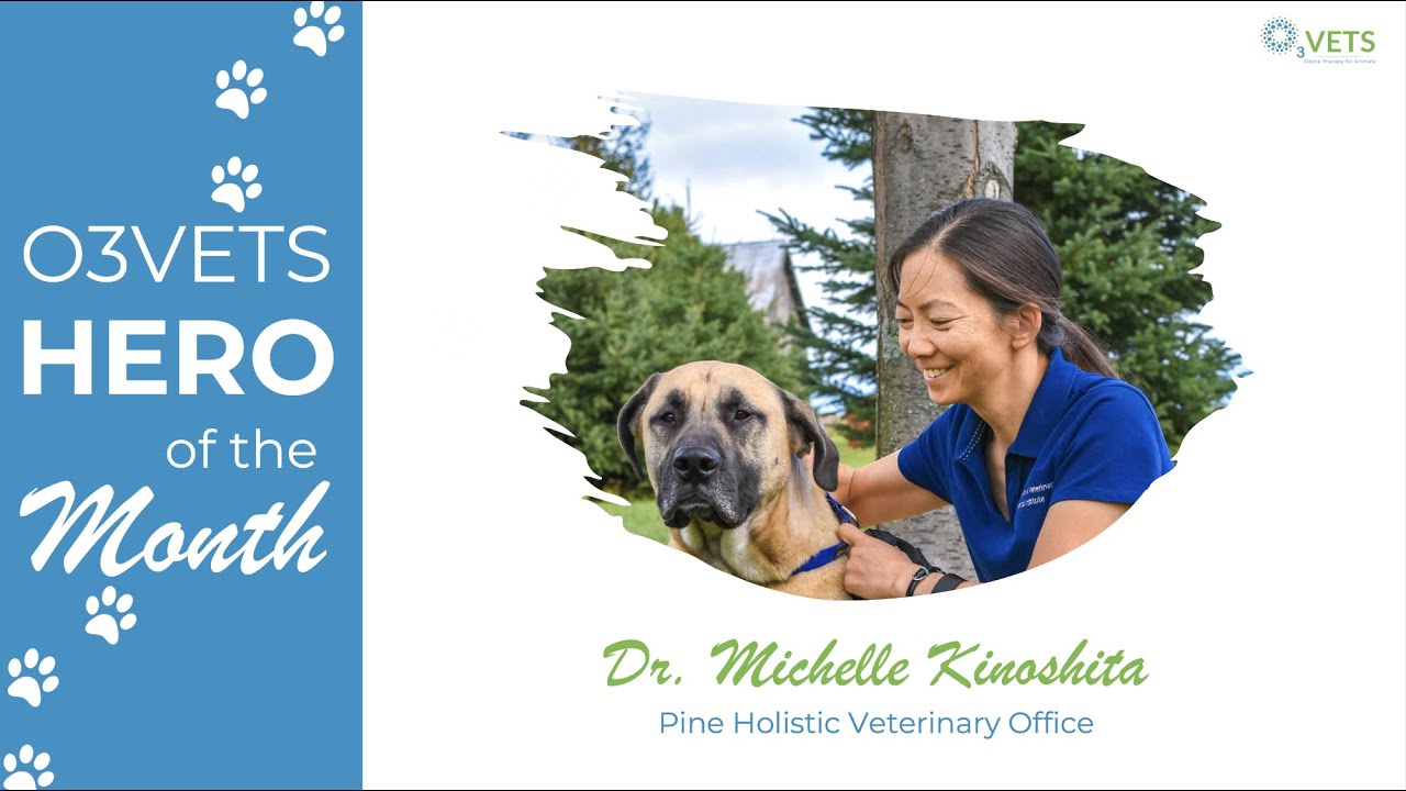 How Dr. Michelle Kinoshita Uses Ozone - O3Vets Hero of the Month