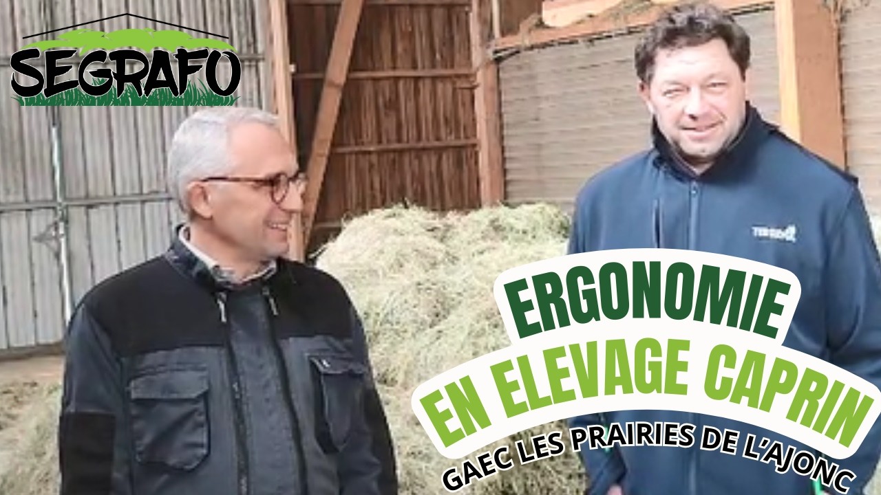Ergonomie en élevage caprin avec le séchage en grange