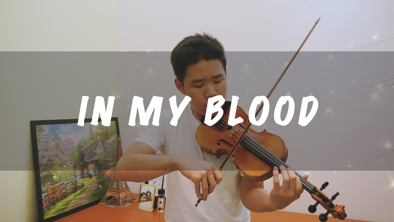 Shawn Mendes - In My Blood (Violin and Piano Instrumental)