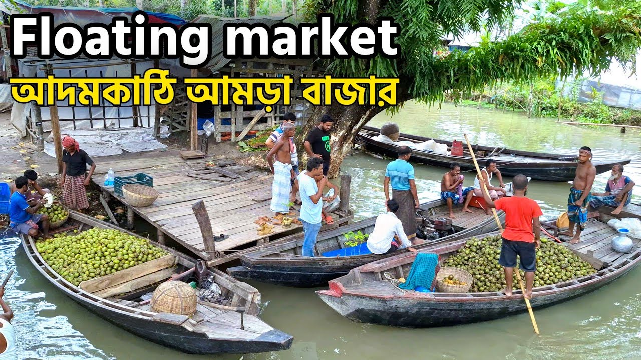 আদমকাঠি আমড়া ভাসমান বাজার | Adamkathi Aamra Floating Market | Bangladesh Floating Fruit Market