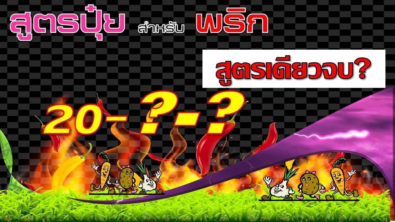 สูตรปุ๋ยสำหรับพริกใส่สูตรไหนดี?_สูตรเดียวจบ จนถึงเก็บเกี่ยว(พริก)