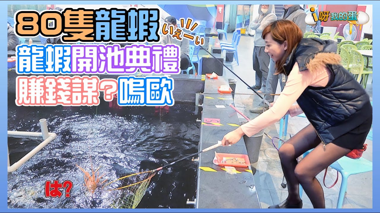 【釣蟹小益思】  80隻龍蝦全丟  開池炸水花  子孫有賺錢謀??  嗚喔 !!  #釣蝦 #i呀我的蛋 #新聞 #主播 Shrimpfishing  エビ釣り  새우 낚시