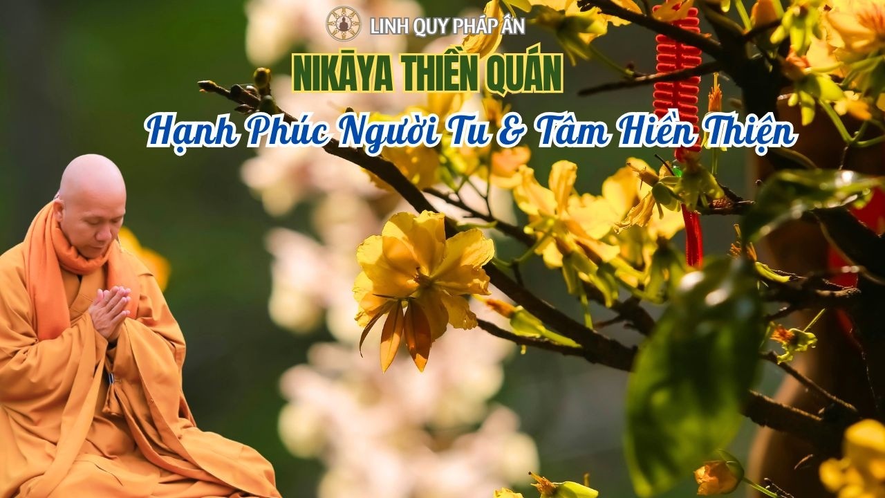 NIKAYA Thiền Quán