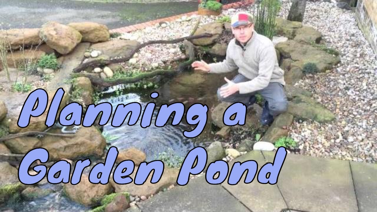 Planning a Garden Pond - How to plan a pond | Any Pond Limited | UK