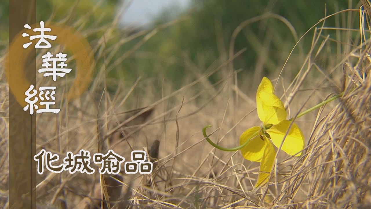 【靜思妙蓮華】法華經化城喻品 - 前入化城 生已度想 - 20220131 第1079集
