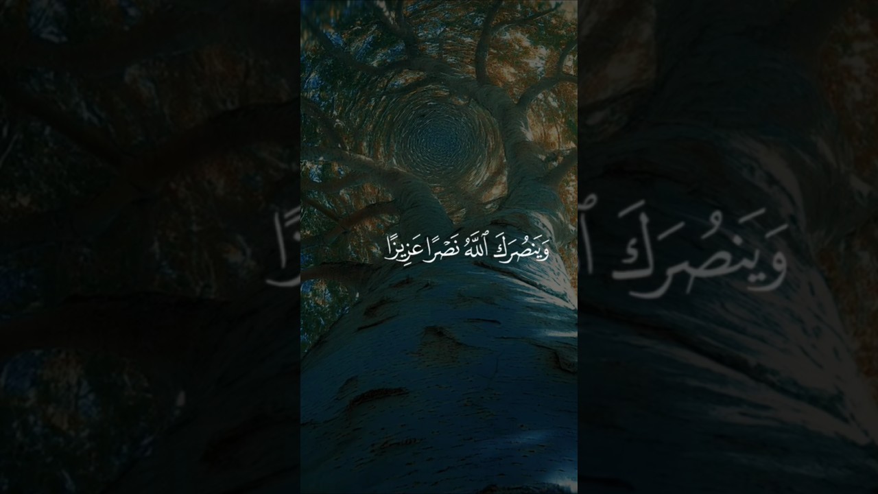 Quran recitation 
