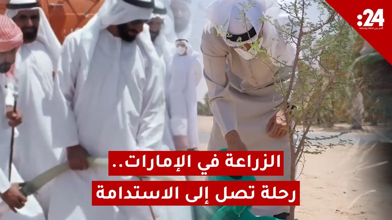 الزراعة في الإمارات.. رحلة تصل إلى الاستدامة