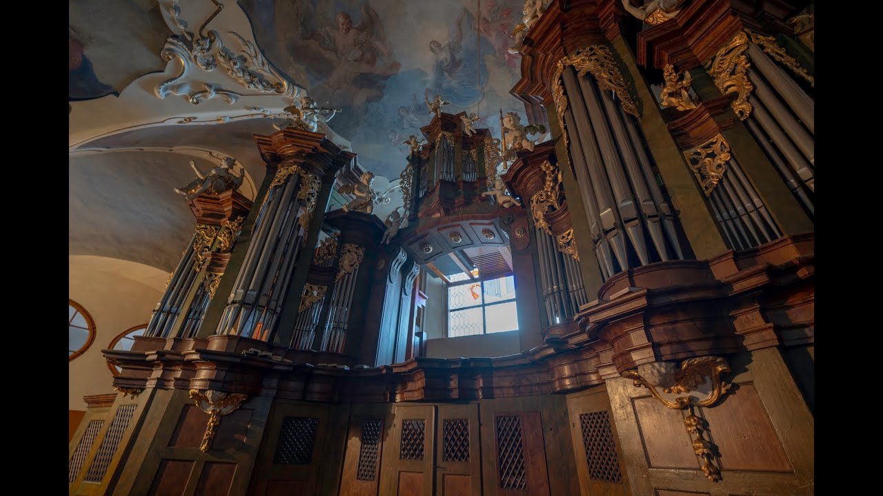 Polední varhanní koncert k podpoře obnovy strahovských varhan  8. 12. 2024 ve 12:00