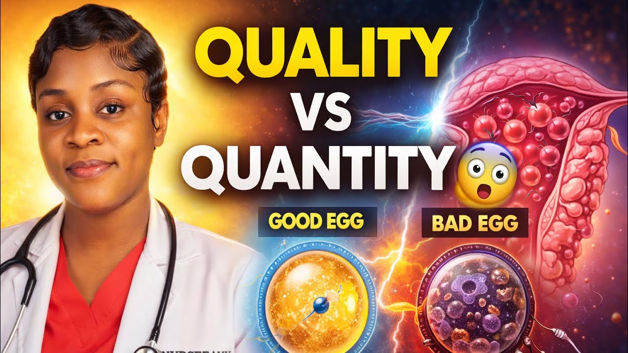 Egg Quality vs Egg Quantity &ndash; The Fertility Truth Most Women Ignore 😳