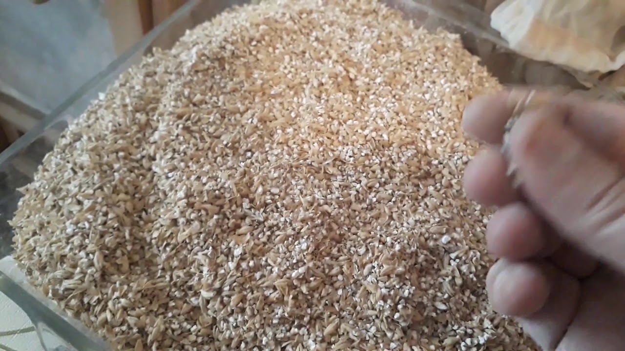 Evde Bira Yapımı; tam tahıl bira yapımı, yeni başlayanlar i&ccedil;in &ccedil;ok ayrıntılı bira yapım videosu.