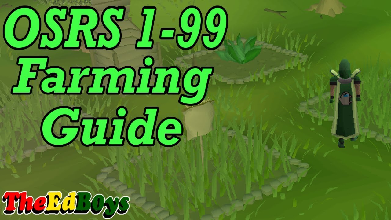 OSRS 1-99 Farming Guide | Обновлённое руководство по фермерству в Runescape старой школы