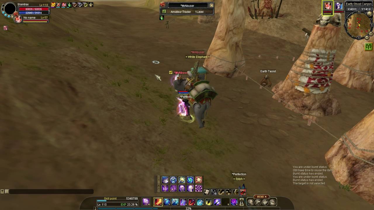 Silkroad bug