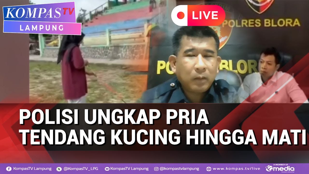 Polisi Ungkap Kronologi Pria di Blora Tendang Kucing Hingga Mati