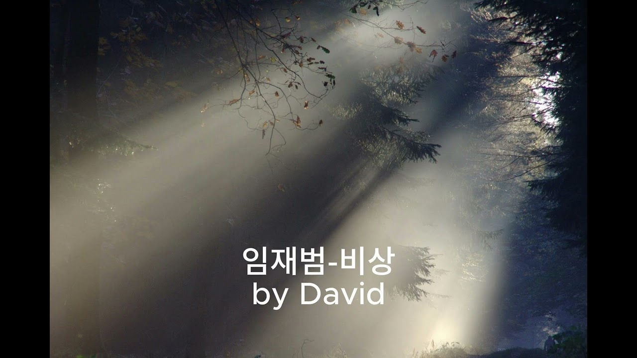 임재범-비상