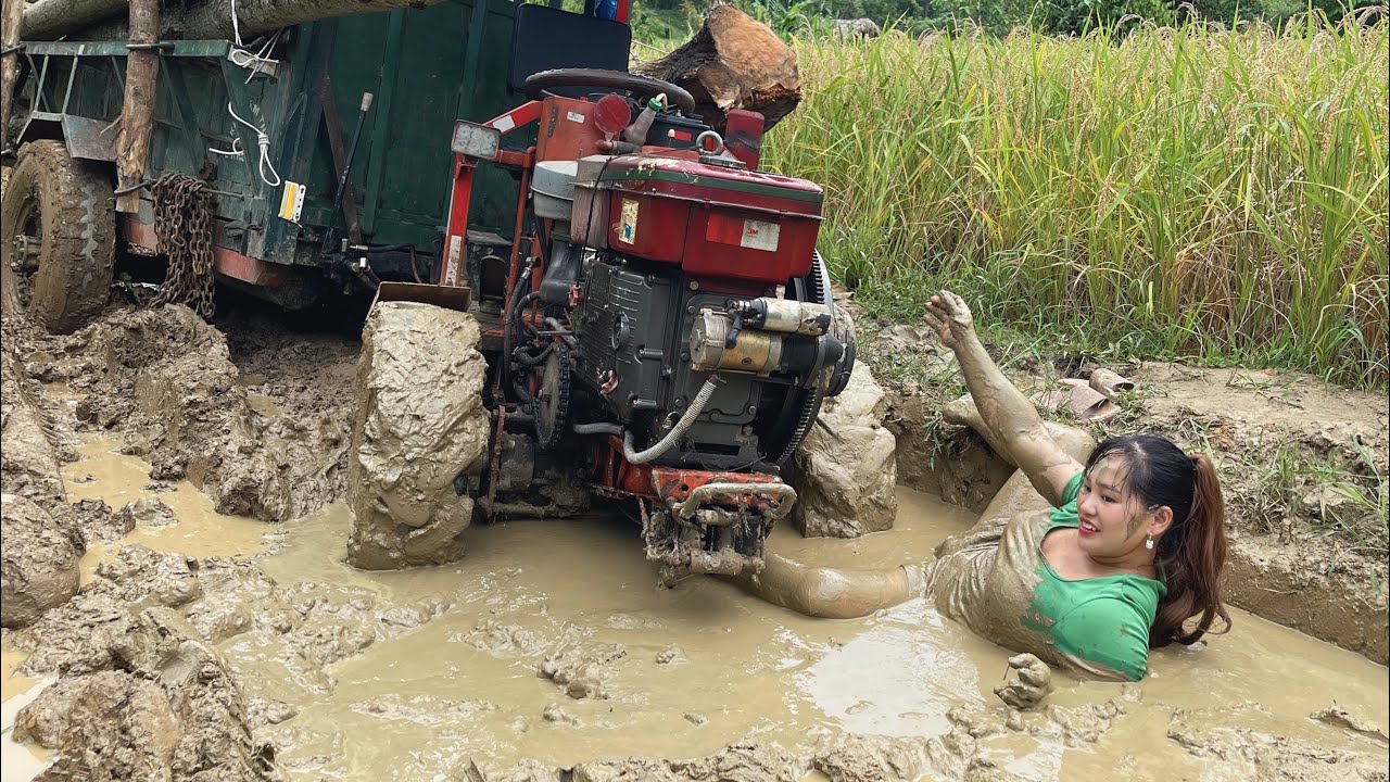 agricultural truck, the process of cutting and transporting wood by agricultural truck