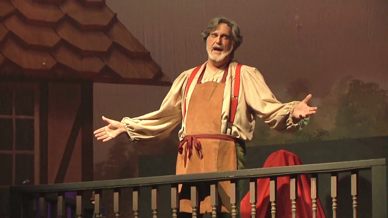 Pinnochio Center Stage Production 2014