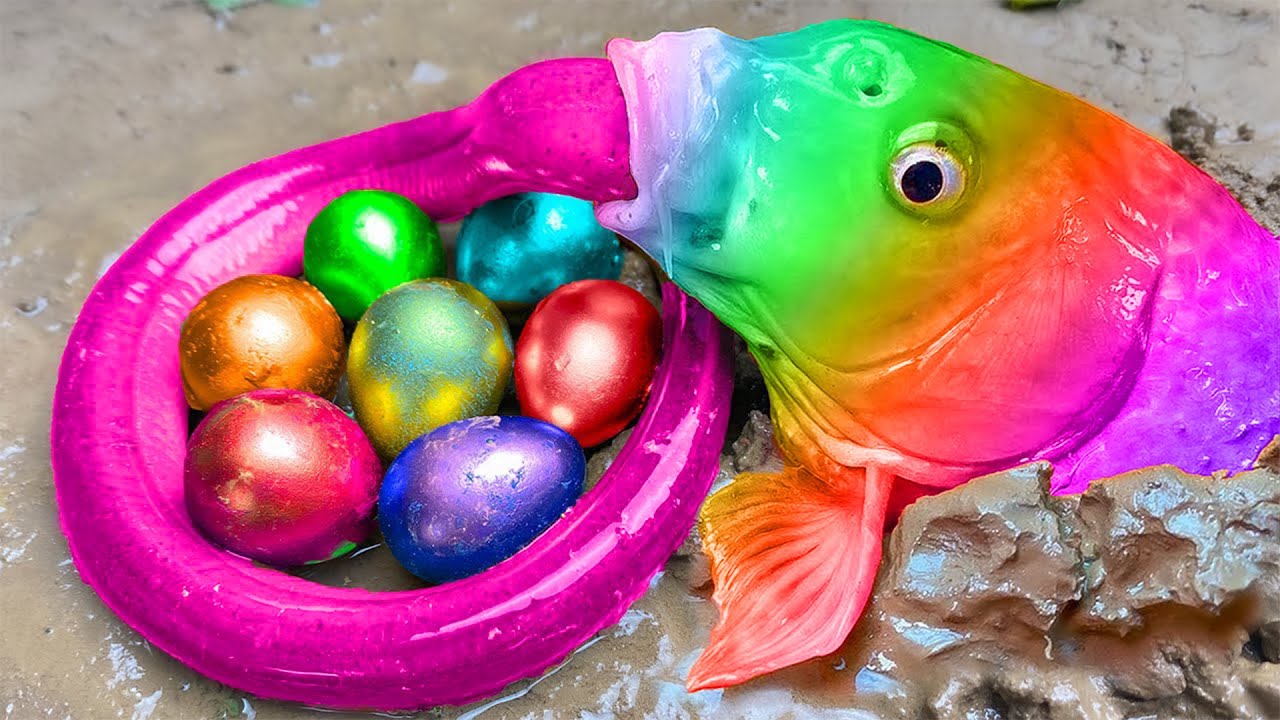 Mencari ikan berwarna-warni, gurita, ikan lele, ikan badut, ikan mas - Stop Motion Ideas