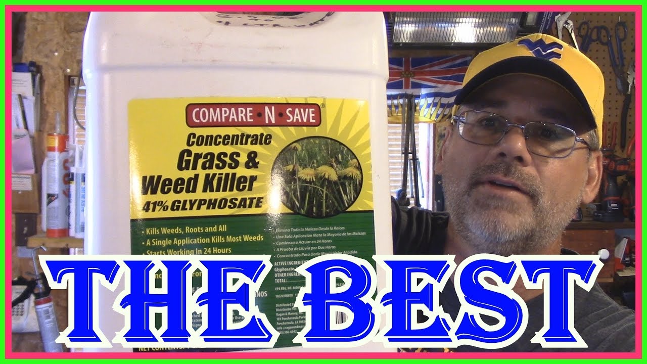 THE BEST WEED AND GRASS  KILLER - COMPARE - N - SAVE  GRASS & WEED  KILLER   FOR HOMEOWNERS