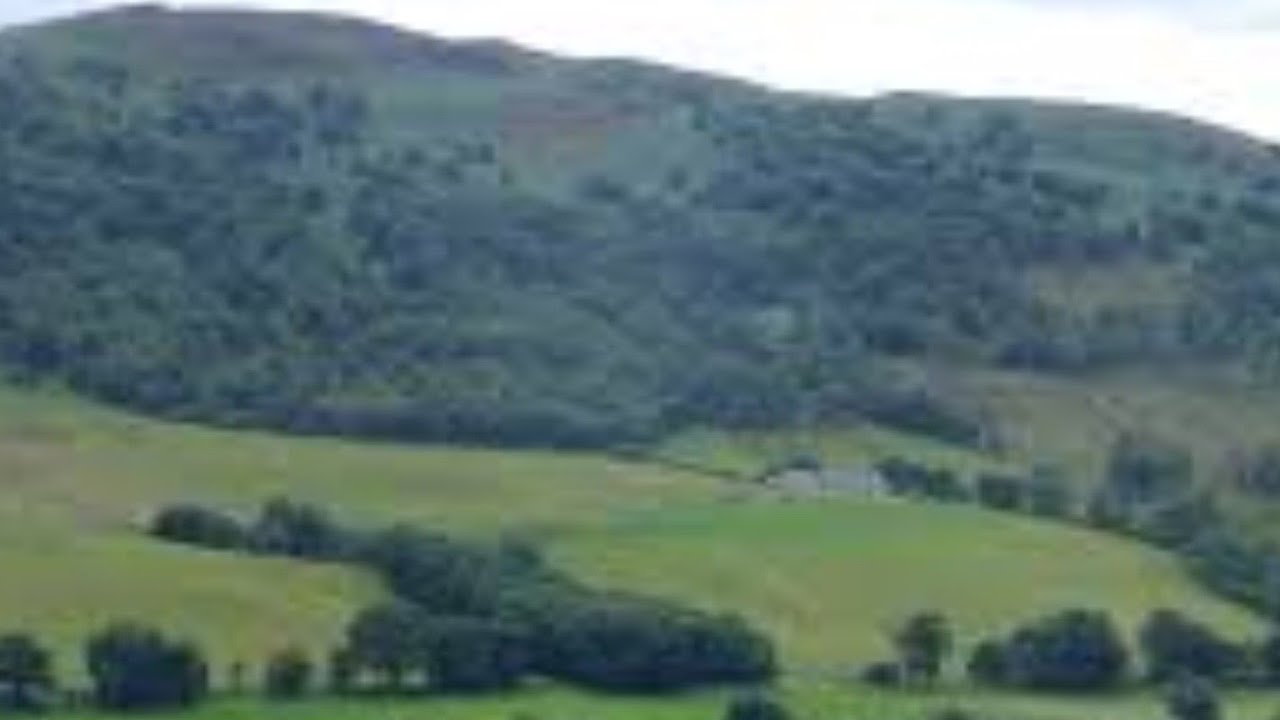 The Braes of Tullymet; performed by Paul Anderson.