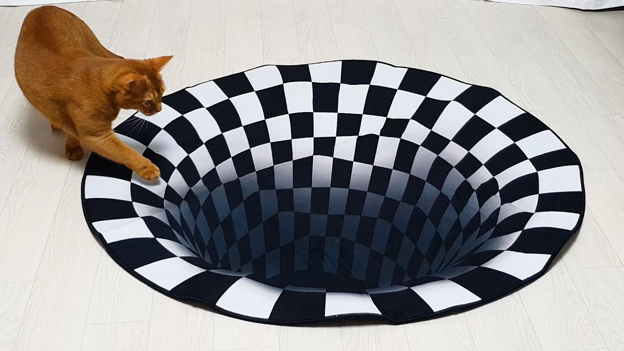 Cats vs 3D Hole | Optical Illusion