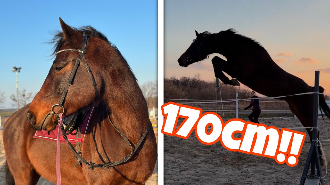 SKOCZYŁ 170 cm!!!! 🙉🚀🤯 || CO ON ZROBIŁ!!