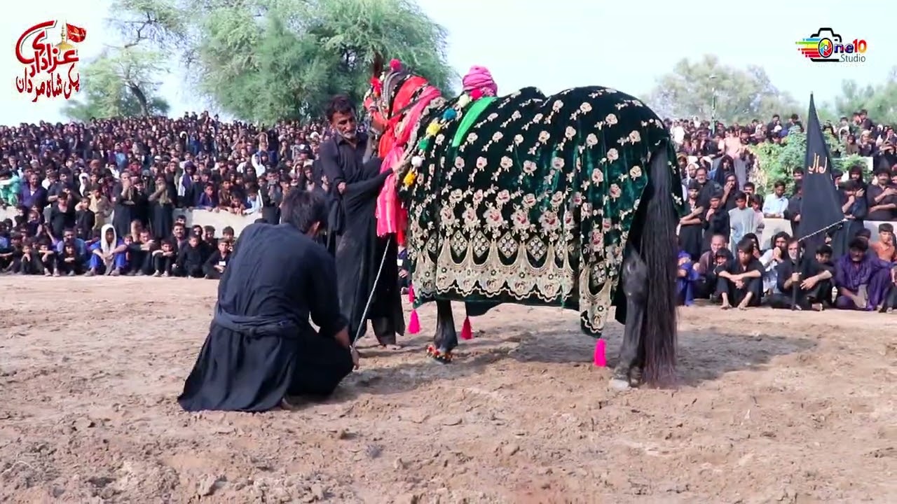 10 Muharram 2024 bramdagi Zuljinnah Imam Hussain a.s Pakki Shah Mardan Mianwali| Studio One10|
