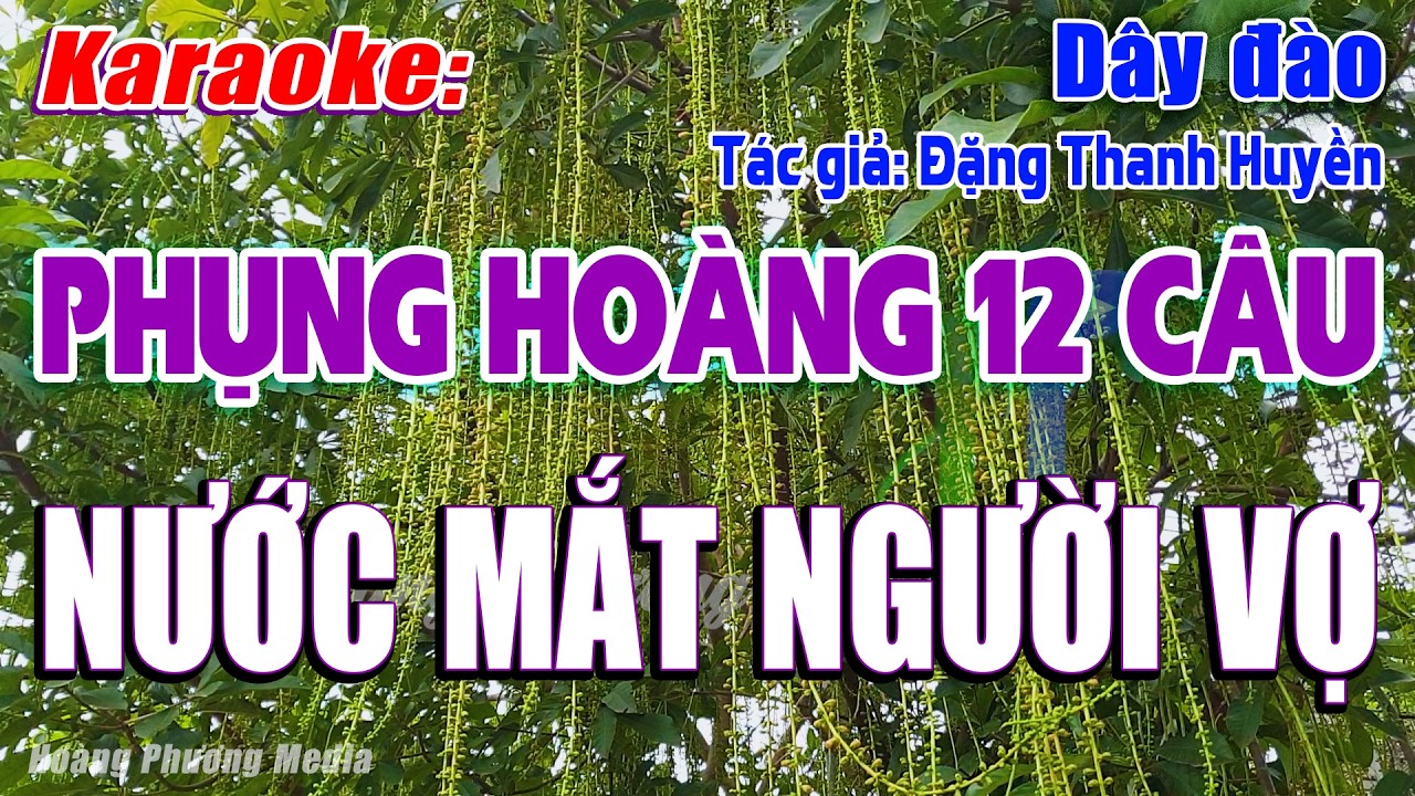 Karaoke Phụng hoàng 12 câu Nước Mắt Người Vợ (Dây đào) | Beat Mới Dở Ẹc, Dễ Hát – Hoàng Phương Media