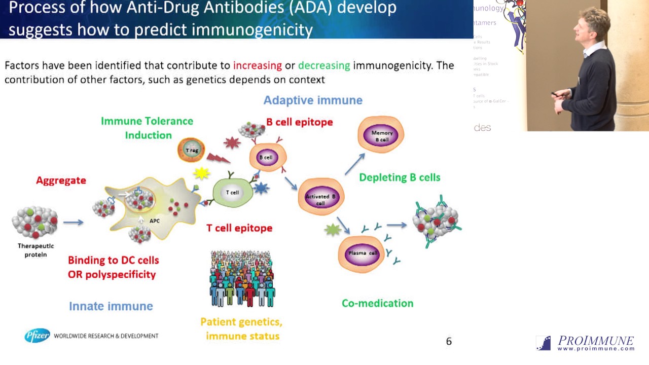 Tim Hickling: Applying in vitro immunogenicity assays to predict clinical immunogenicity