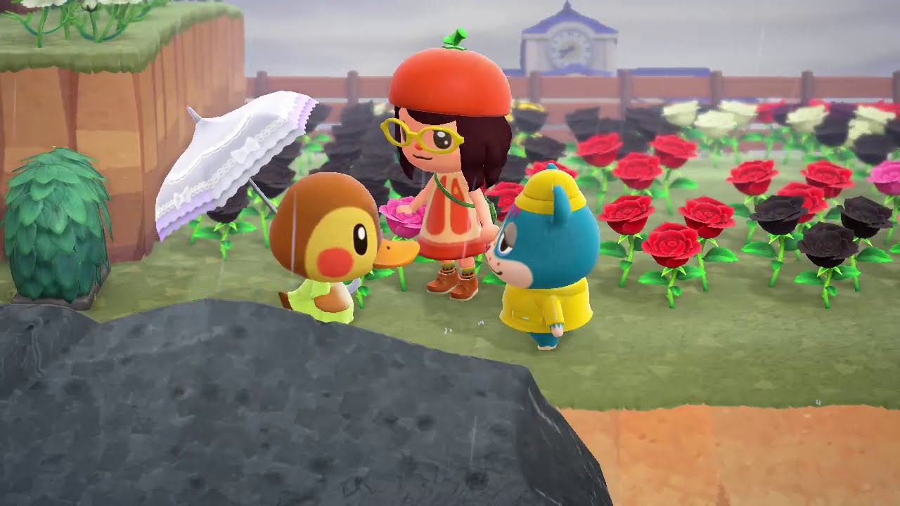 【あつ森】ジミーとカモミの会話