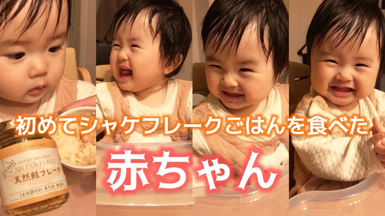 【生後11ヶ月】👶初めてシャケフレークごはん食べたよ🍚