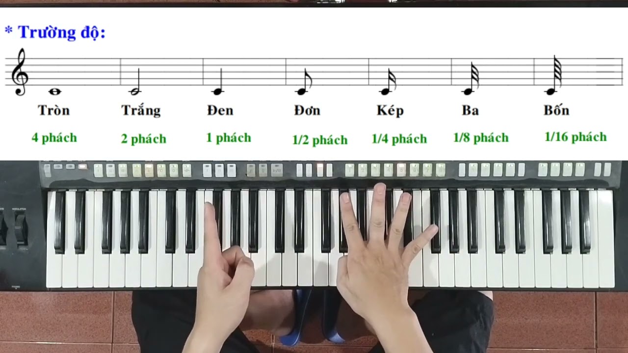 TRƯỜNG ĐỘ là gì? | Các hình nốt thường gặp trong âm nhạc | Ku Tèo Piano.