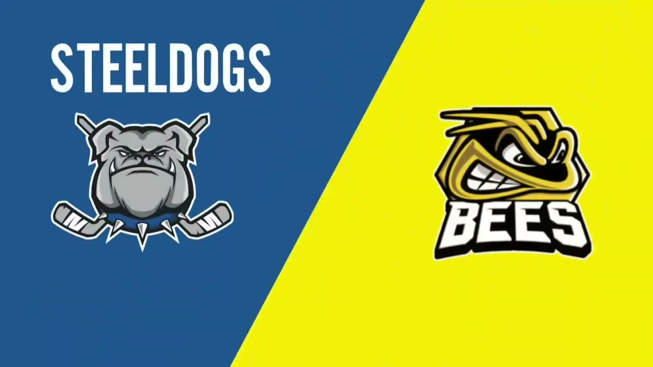 Bradfield Brewery Sheffield Steeldogs vs Bees IHC January 30th 2022