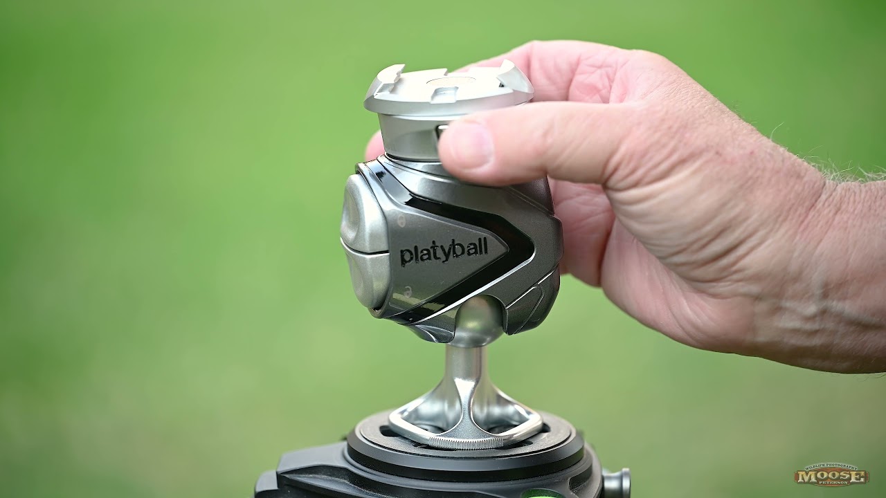 Moose Peterson Takes Platyball for a Test Drive: 