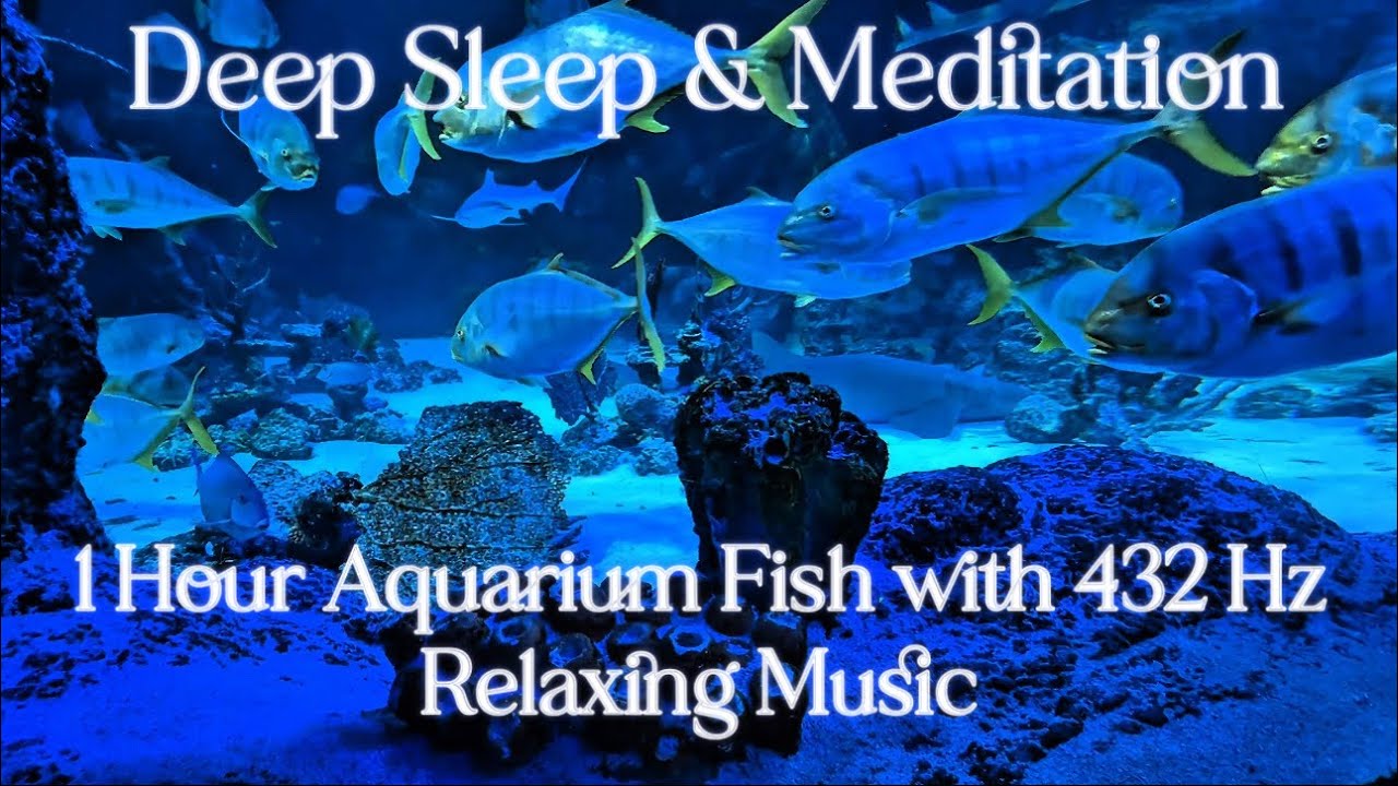 432 Hz Relaxing Aquarium 🫧 | 1 Hour Sleep, Meditation & Stress Relief 