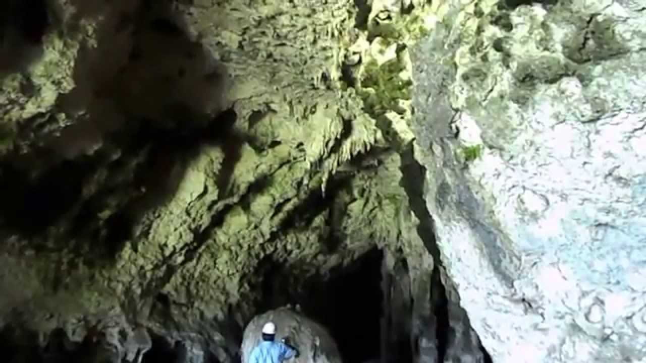 Puerto Rico Winter '14: Camuy River Cave Park - Bat Travel